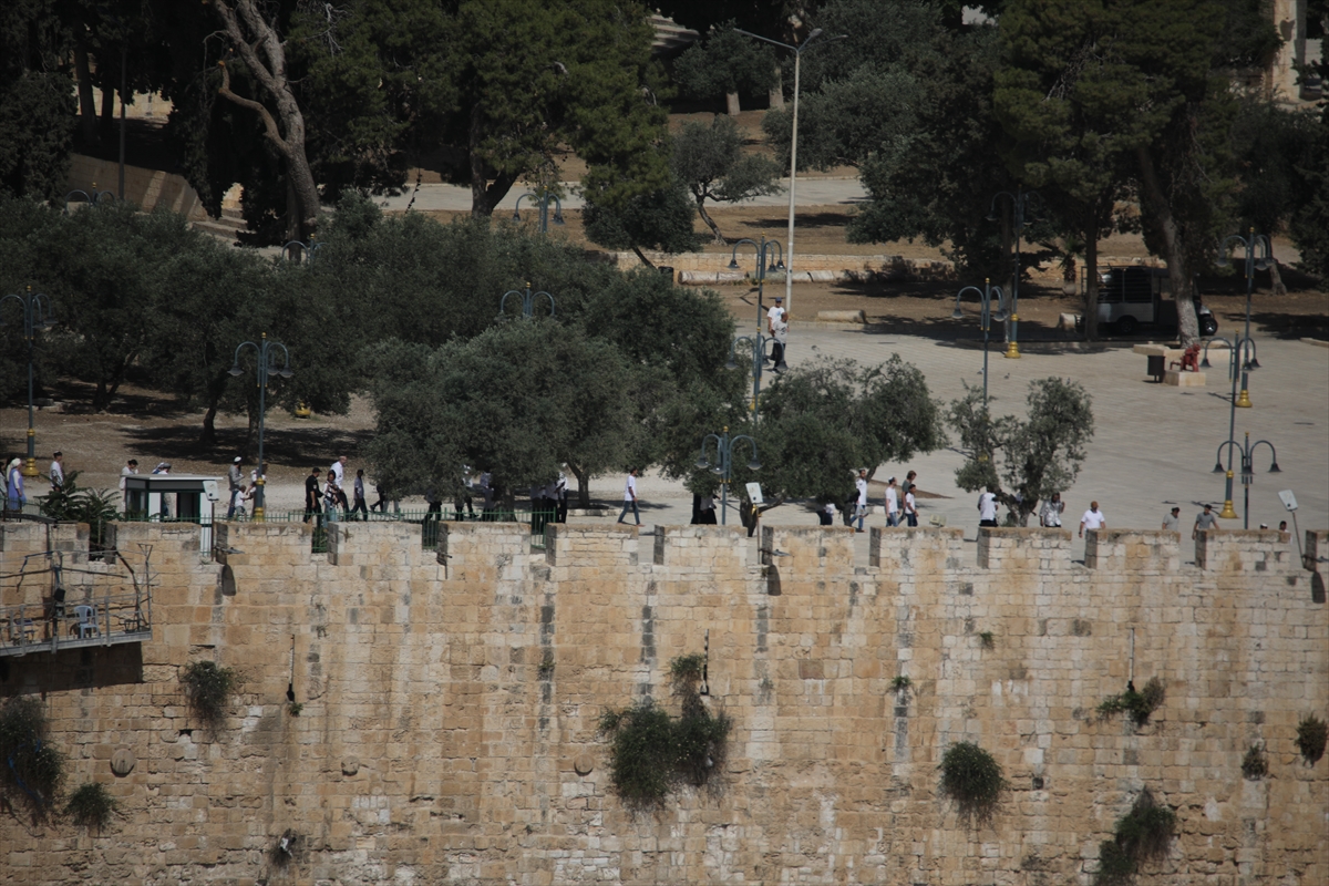 A A 20250526 38084283 38084272 Y U Z L E R C E F A N A T I K Y A H U D I M E S C I D I A K S A Y A B A S K I N D U Z E N L E D I