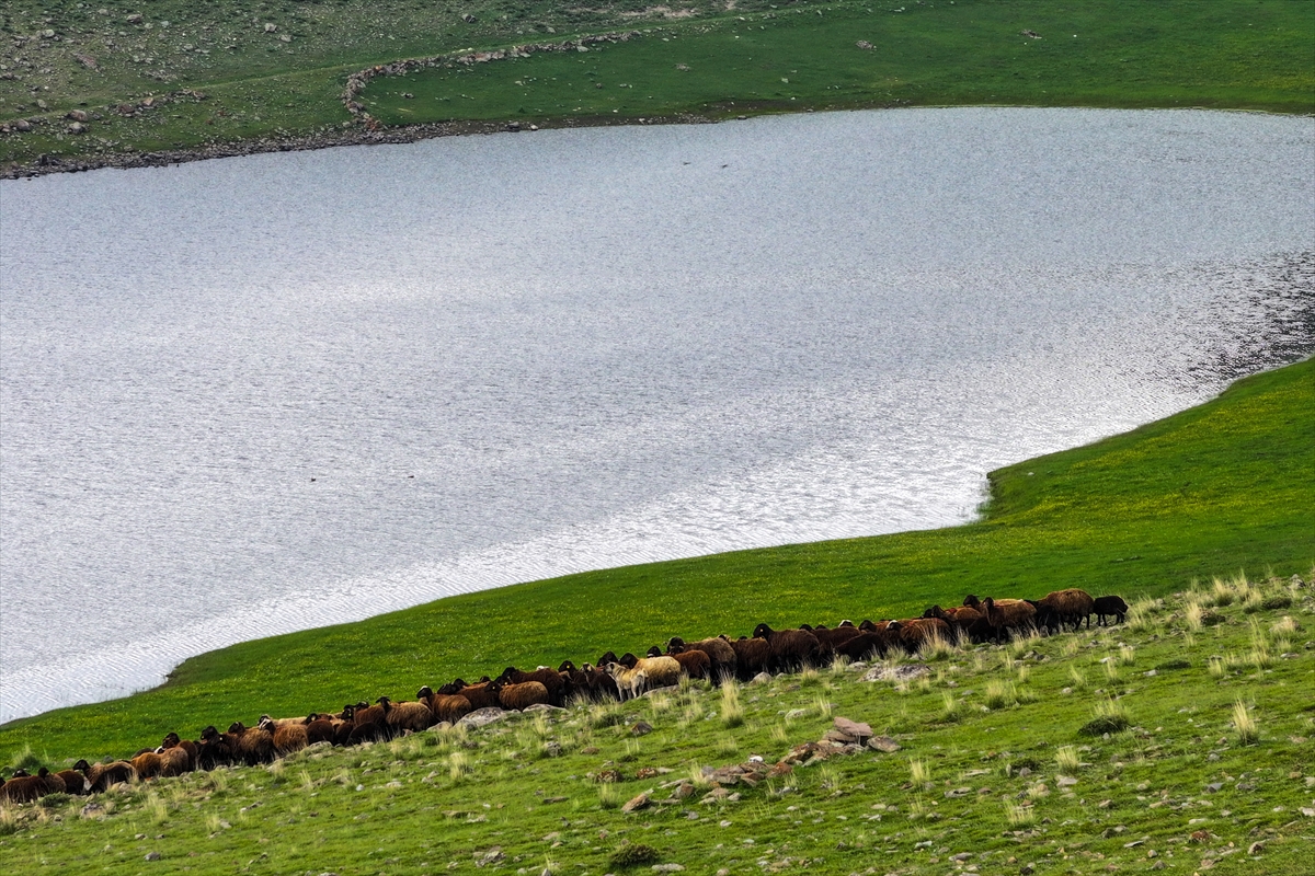 A A 20250527 38099359 38099355 I G D I R D A 10 B I N D O N U M A R A Z I M E R A O L A R A K C I F T C I L E R I N H I Z M E T I N E A C I L D I