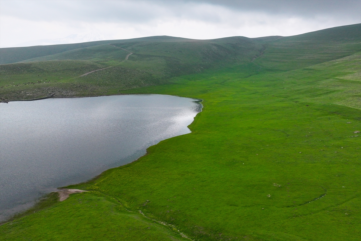 A A 20250527 38099359 38099356 I G D I R D A 10 B I N D O N U M A R A Z I M E R A O L A R A K C I F T C I L E R I N H I Z M E T I N E A C I L D I