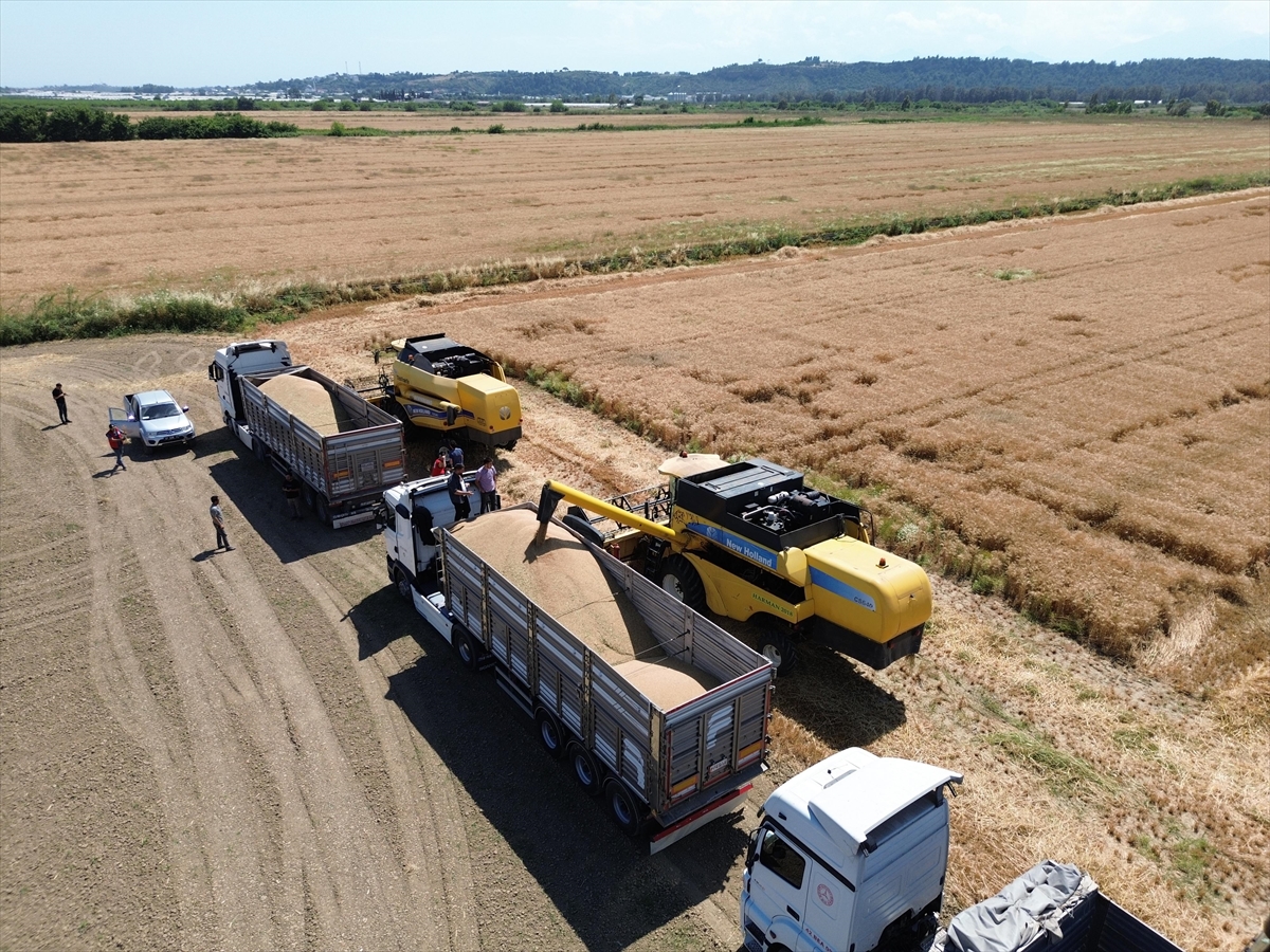 A A 20250529 38120699 38120680 A N T A L Y A D A B U G D A Y H A S A D I N A B A S L A N D I