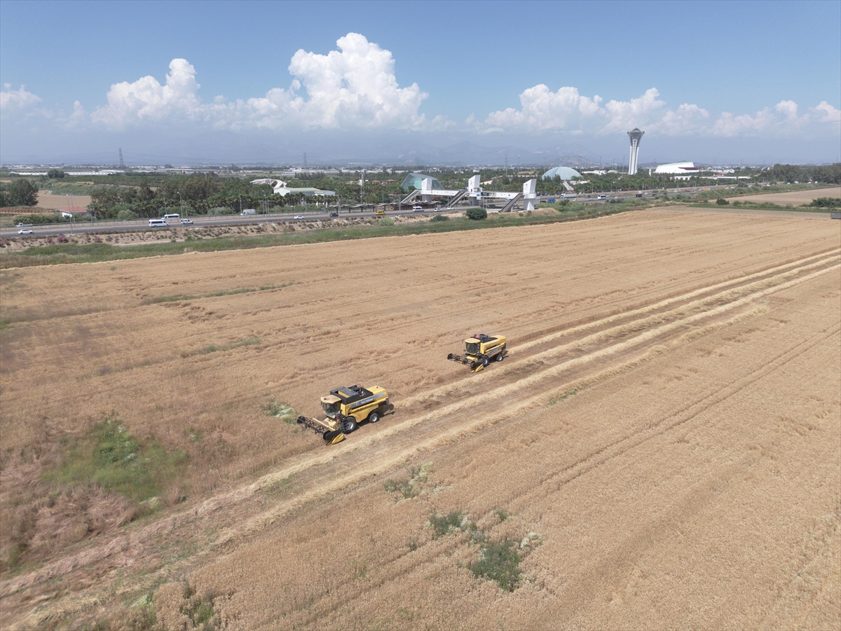 A A 20250529 38120699 38120686 A N T A L Y A D A B U G D A Y H A S A D I N A B A S L A N D I