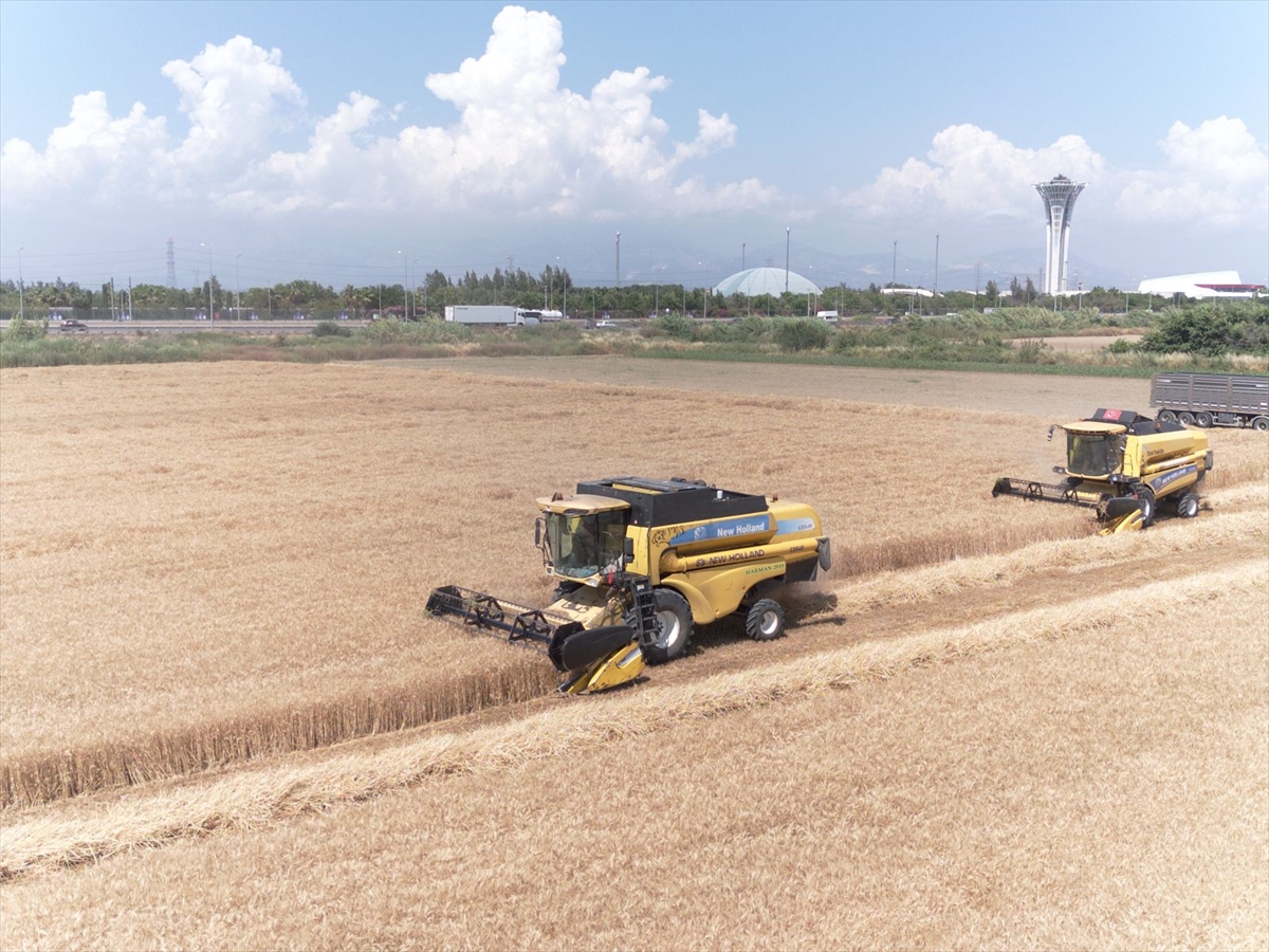 A A 20250529 38120699 38120689 A N T A L Y A D A B U G D A Y H A S A D I N A B A S L A N D I