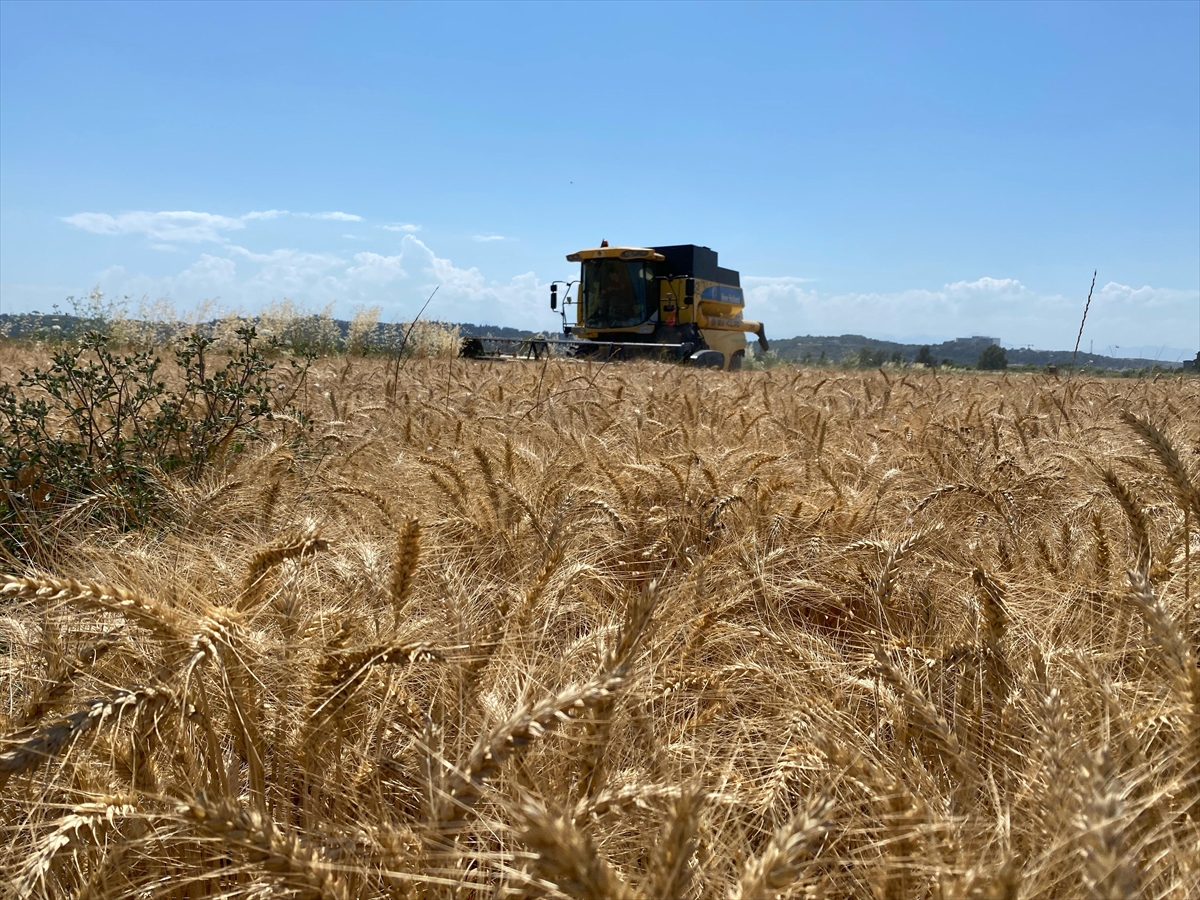 A A 20250529 38120699 38120691 A N T A L Y A D A B U G D A Y H A S A D I N A B A S L A N D I