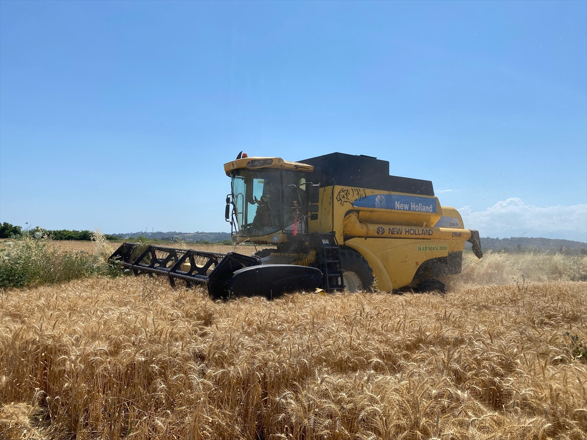 A A 20250529 38120699 38120693 A N T A L Y A D A B U G D A Y H A S A D I N A B A S L A N D I