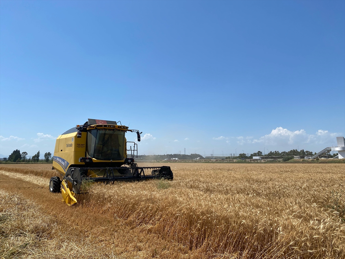 A A 20250529 38120699 38120695 A N T A L Y A D A B U G D A Y H A S A D I N A B A S L A N D I