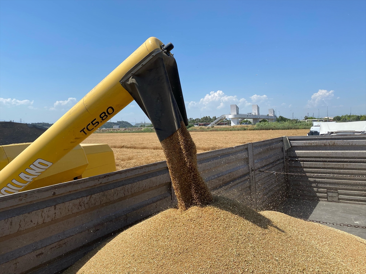 A A 20250529 38120699 38120696 A N T A L Y A D A B U G D A Y H A S A D I N A B A S L A N D I