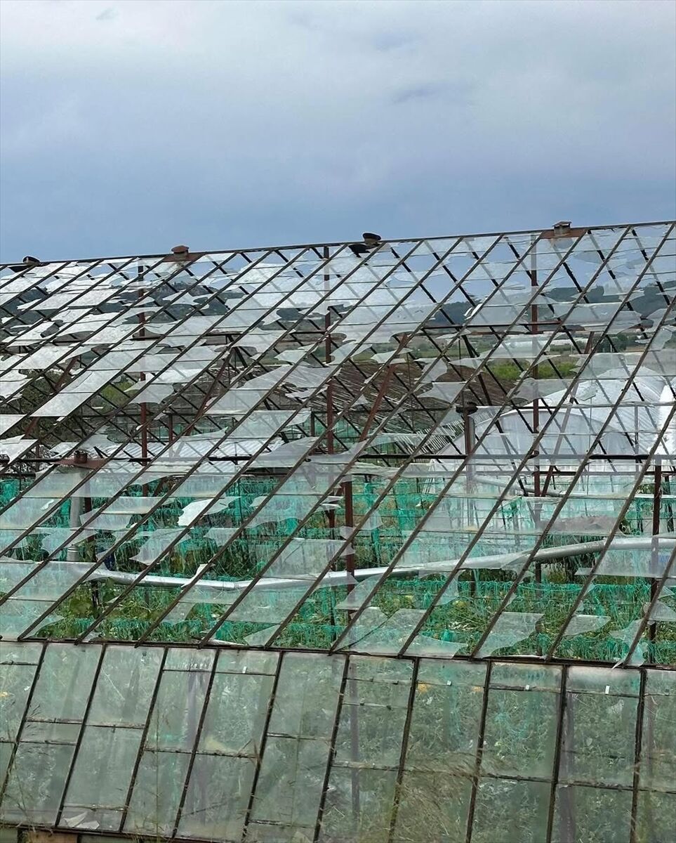 A A 20250529 38120936 38120935 A N T A L Y A D A S A G A N A K V E D O L U S E R A L A R A V E U R U N L E R E Z A R A R V E R D I