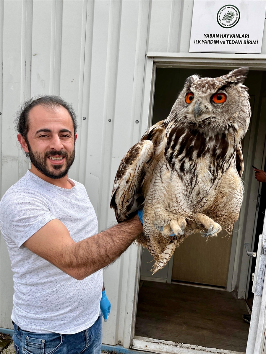 A A 20250529 38122760 38122759 E R Z U R U M D A Y A R A L I B U L U N A N P U H U T E D A V I Y E A L I N D I