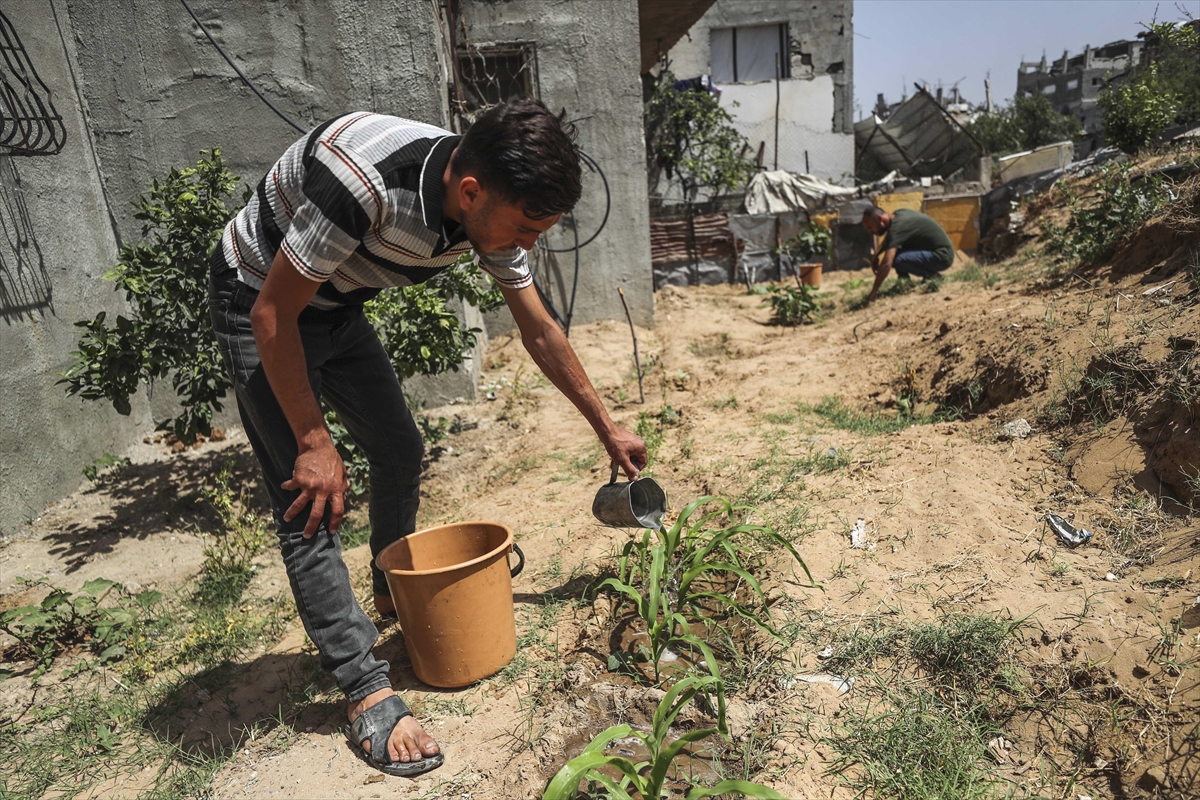 A A 20250530 38127995 38127977 F I L I S T I N L I L E R Y I K I N T I L A R A R A S I N D A S E B Z E V E M E Y V E Y E T I S T I R I Y O R