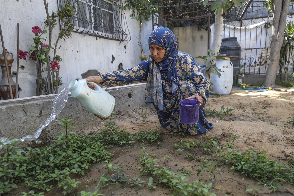 A A 20250530 38127995 38127978 F I L I S T I N L I L E R Y I K I N T I L A R A R A S I N D A S E B Z E V E M E Y V E Y E T I S T I R I Y O R