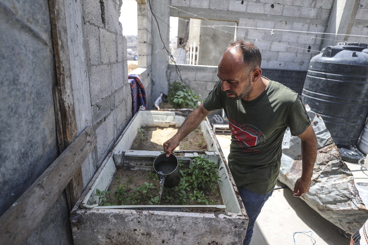 A A 20250530 38127995 38127981 F I L I S T I N L I L E R Y I K I N T I L A R A R A S I N D A S E B Z E V E M E Y V E Y E T I S T I R I Y O R