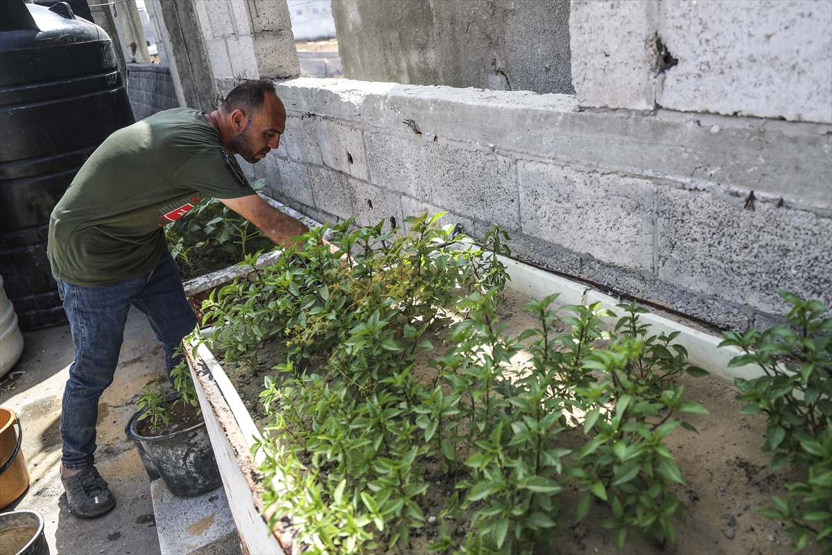 A A 20250530 38127995 38127982 F I L I S T I N L I L E R Y I K I N T I L A R A R A S I N D A S E B Z E V E M E Y V E Y E T I S T I R I Y O R