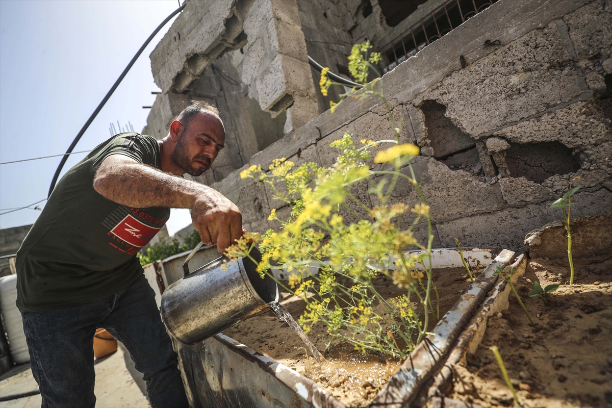 A A 20250530 38127995 38127984 F I L I S T I N L I L E R Y I K I N T I L A R A R A S I N D A S E B Z E V E M E Y V E Y E T I S T I R I Y O R