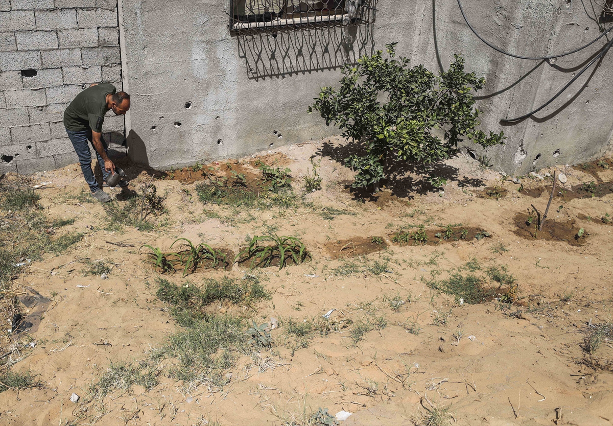 A A 20250530 38127995 38127985 F I L I S T I N L I L E R Y I K I N T I L A R A R A S I N D A S E B Z E V E M E Y V E Y E T I S T I R I Y O R