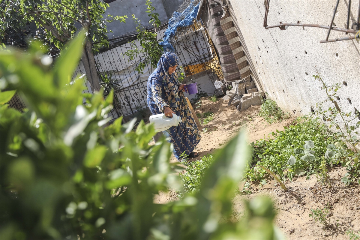 A A 20250530 38127995 38127987 F I L I S T I N L I L E R Y I K I N T I L A R A R A S I N D A S E B Z E V E M E Y V E Y E T I S T I R I Y O R