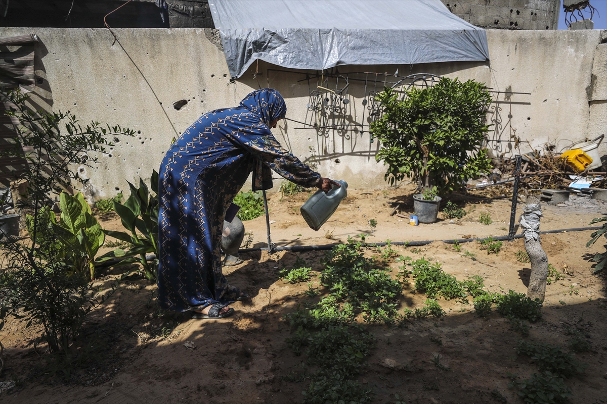 A A 20250530 38127995 38127988 F I L I S T I N L I L E R Y I K I N T I L A R A R A S I N D A S E B Z E V E M E Y V E Y E T I S T I R I Y O R