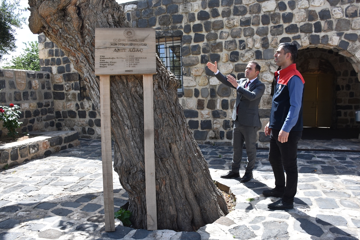 A A 20250530 38128685 38128678 S I R N A K T A K I L I S E A V L U S U N D A K I 402 Y I L L I K D U T A G A C I N I N B A K I M I Y A P I L I Y O R