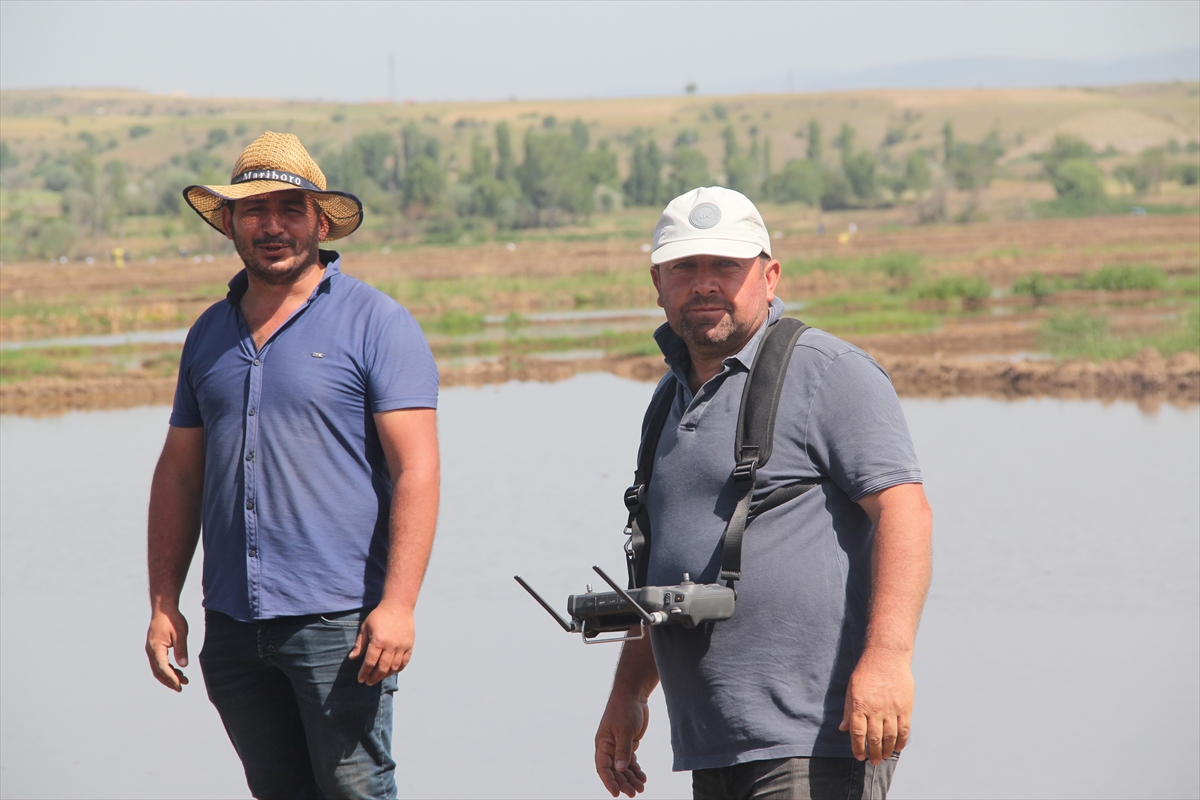 A A 20250530 38128962 38128949 C O R U M D A D R O N L A C E L T I K E K I M I Y A Y G I N L A S I Y O R