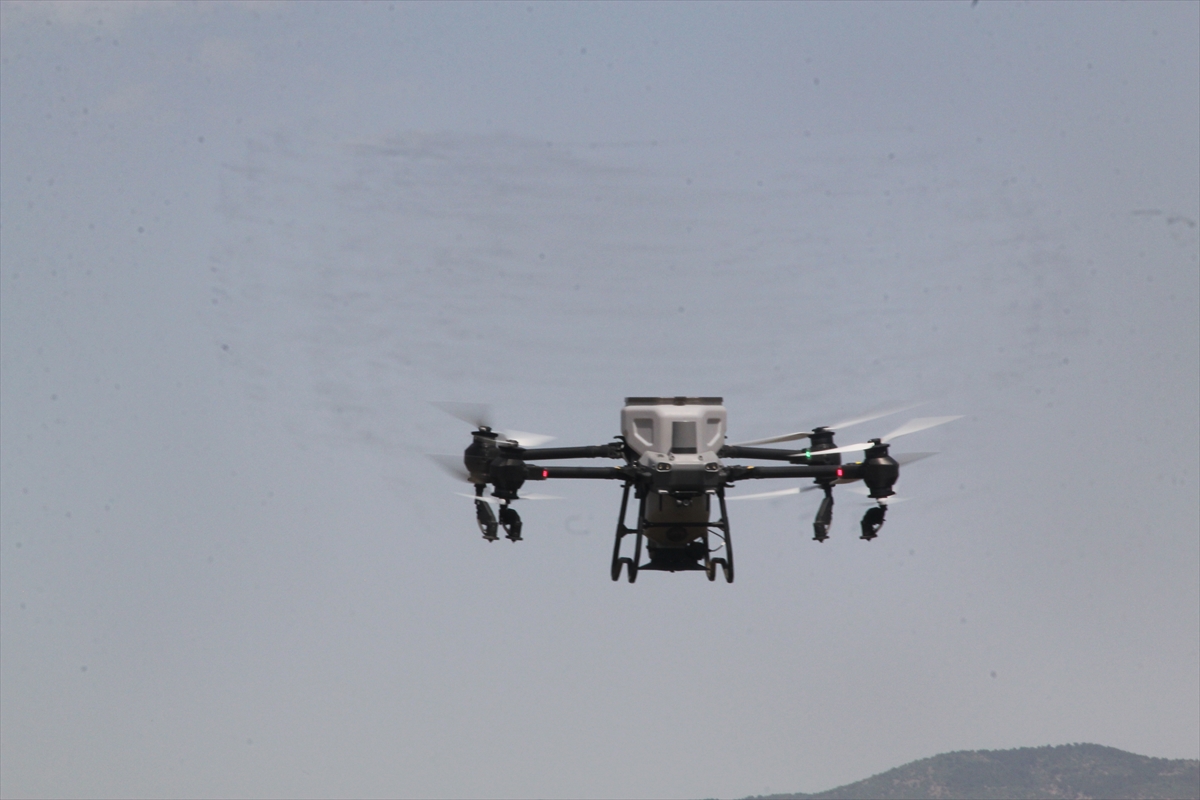 A A 20250530 38128962 38128950 C O R U M D A D R O N L A C E L T I K E K I M I Y A Y G I N L A S I Y O R