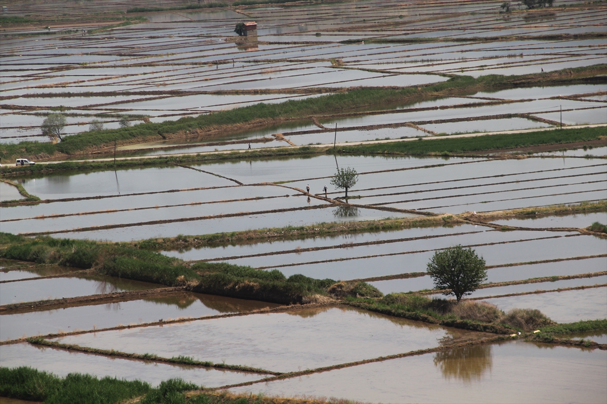 A A 20250530 38128962 38128953 C O R U M D A D R O N L A C E L T I K E K I M I Y A Y G I N L A S I Y O R