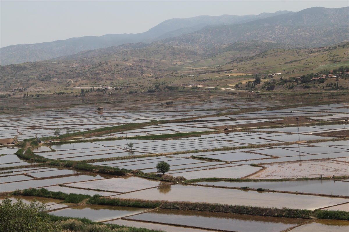 A A 20250530 38128962 38128957 C O R U M D A D R O N L A C E L T I K E K I M I Y A Y G I N L A S I Y O R