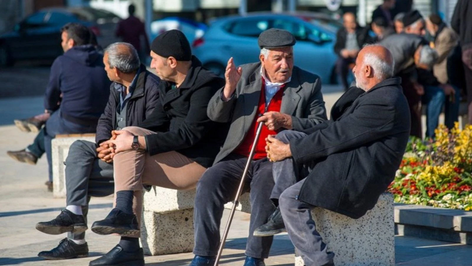 Emeklilere Ücretsiz-1