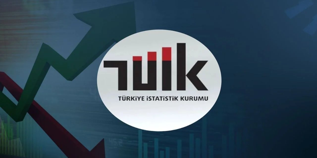 Tüik Doğum Verileri-1