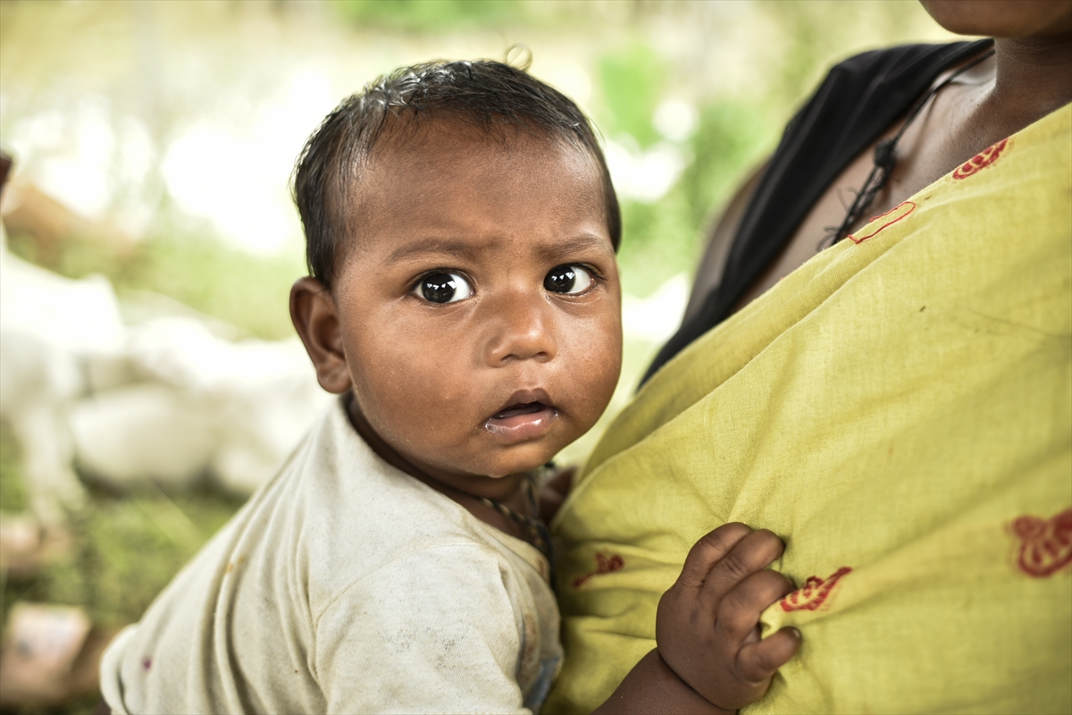 A A 20250601 38151861 38151838 H I N D I S T A N D A S I D D E T L I Y A G I S L A R N E D E N I Y L E E N A Z 26 K I S I O L D U