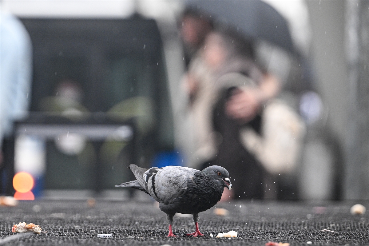 A A 20250601 38152656 38152643 A N K A R A D A Y A G M U R