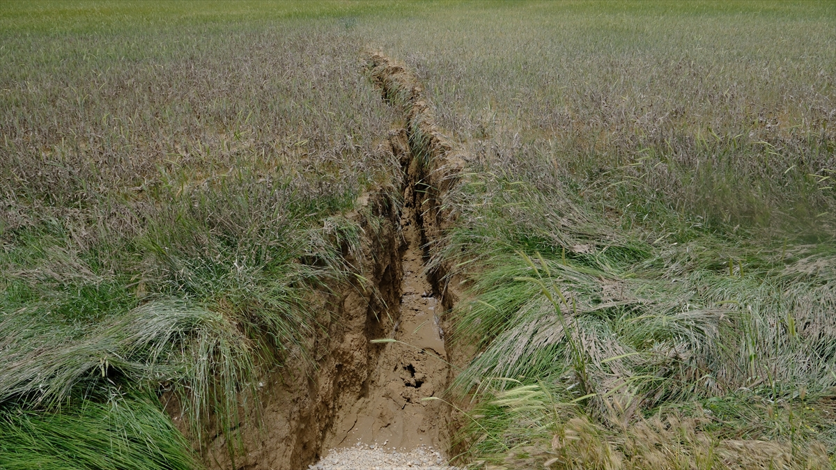 A A 20250602 38162784 38162775 K O N Y A D A S A G A N A K S O N R A S I T A R I M A R A Z I S I N D E D E V Y A R I K O L U S T U