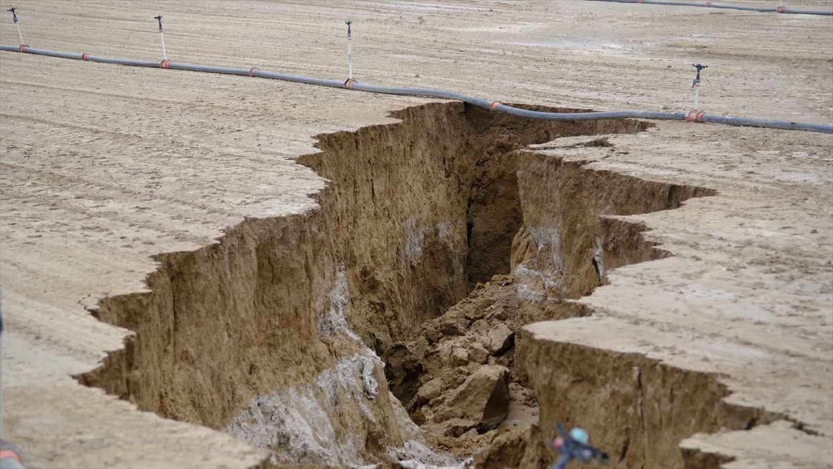 A A 20250602 38162784 38162779 K O N Y A D A S A G A N A K S O N R A S I T A R I M A R A Z I S I N D E D E V Y A R I K O L U S T U