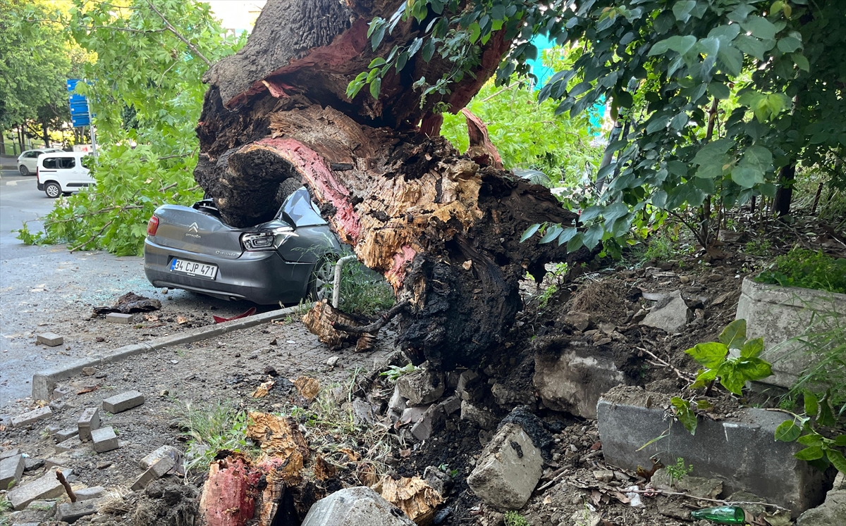 A A 20250602 38164987 38164986 B E S I K T A S T A D E V R I L E N A G A C 3 A R A C A H A S A R V E R D I