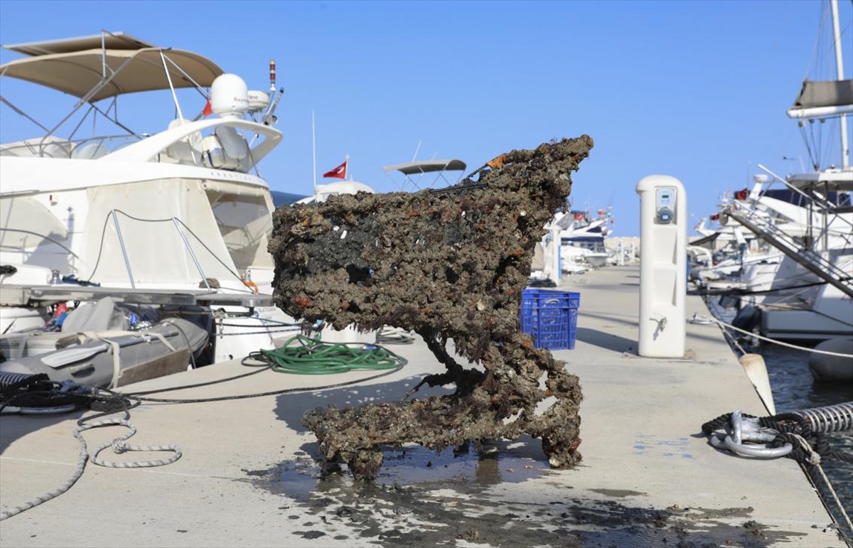 A A 20250612 38260427 38260422 M E R S I N D E D E N I Z D E N A R A C L A S T I G I A L I S V E R I S S E P E T I V E C O K S A Y I D A A T I K C I K T I