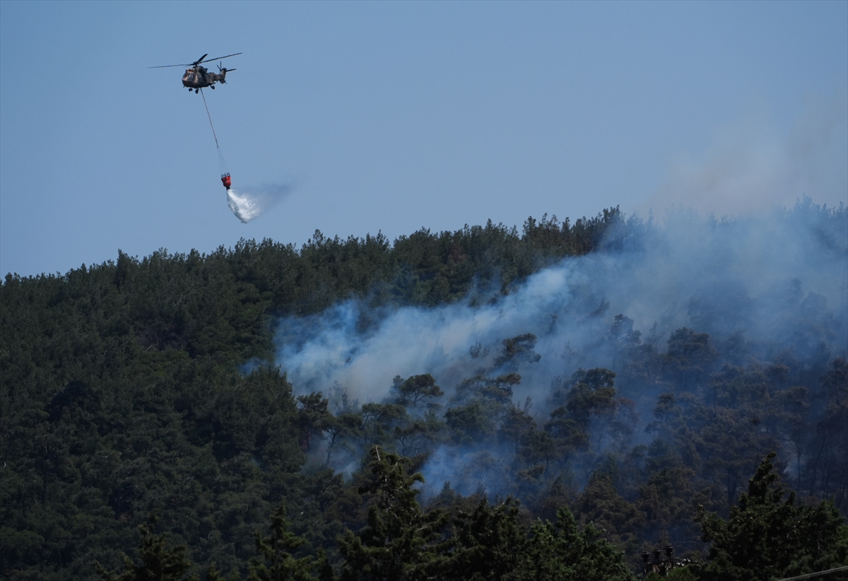 A A 20250614 38277338 38277331 I Z M I R I N F O C A I L C E S I N D E C I K A N O R M A N Y A N G I N I N A M U D A H A L E E D I L I Y O R