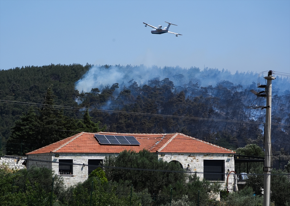 A A 20250614 38277338 38277333 I Z M I R I N F O C A I L C E S I N D E C I K A N O R M A N Y A N G I N I N A M U D A H A L E E D I L I Y O R