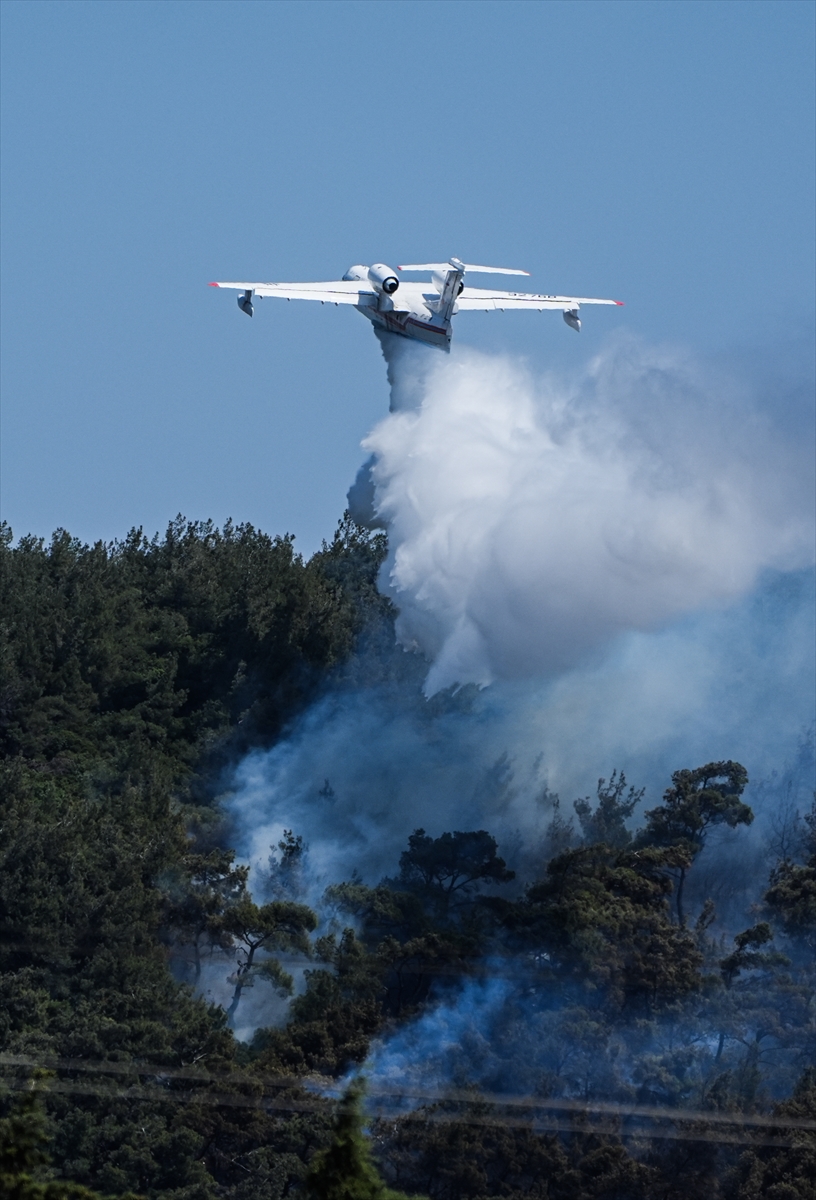 A A 20250614 38277338 38277334 I Z M I R I N F O C A I L C E S I N D E C I K A N O R M A N Y A N G I N I N A M U D A H A L E E D I L I Y O R