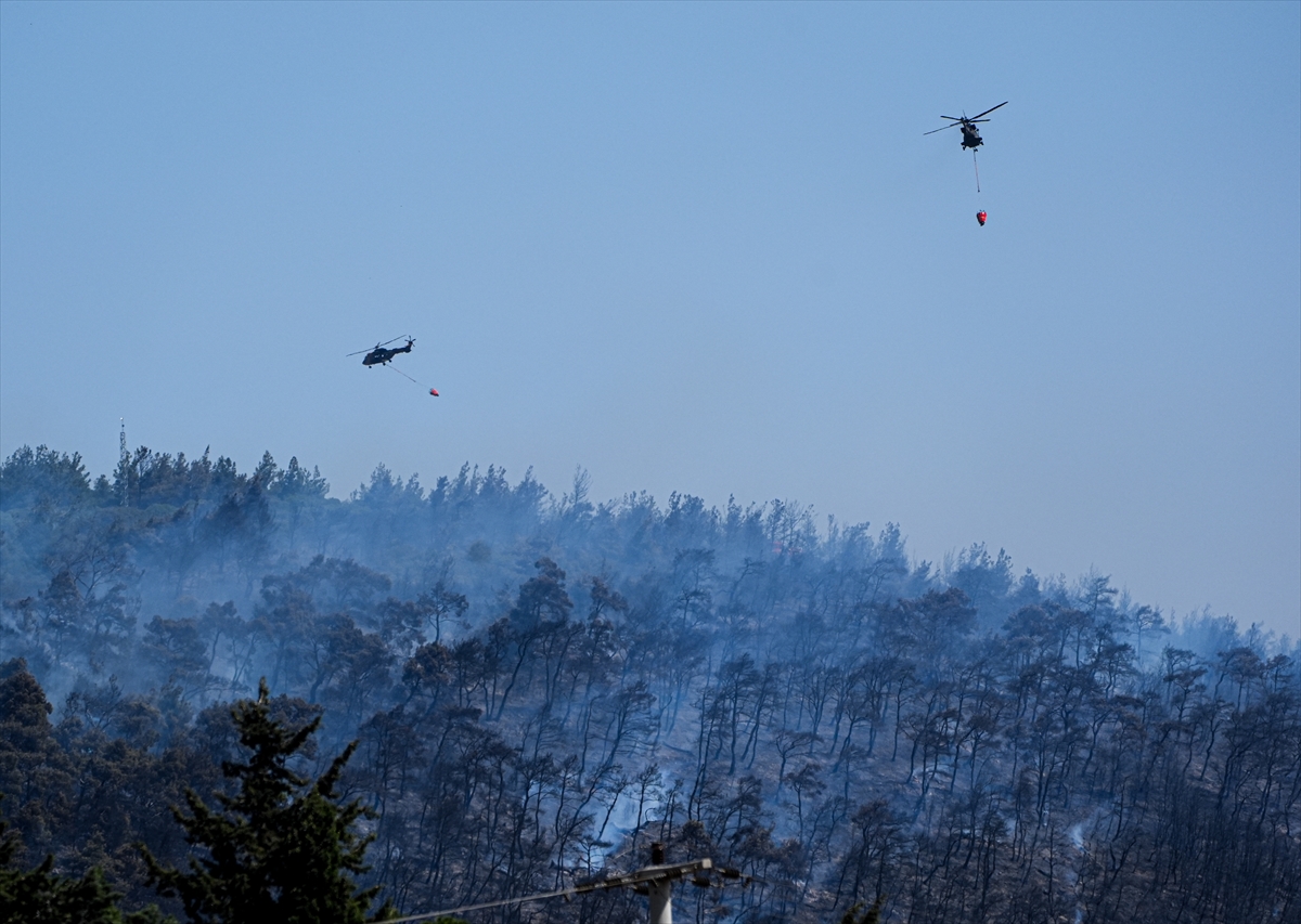 A A 20250614 38277338 38277337 I Z M I R I N F O C A I L C E S I N D E C I K A N O R M A N Y A N G I N I N A M U D A H A L E E D I L I Y O R