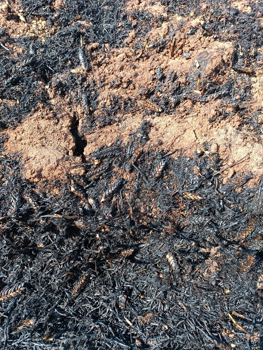 A A 20250615 38287701 38287699 M A R D I N D E Y A K L A S I K 400 D E K A R B U G D A Y E K I L I A L A N Y A N D I