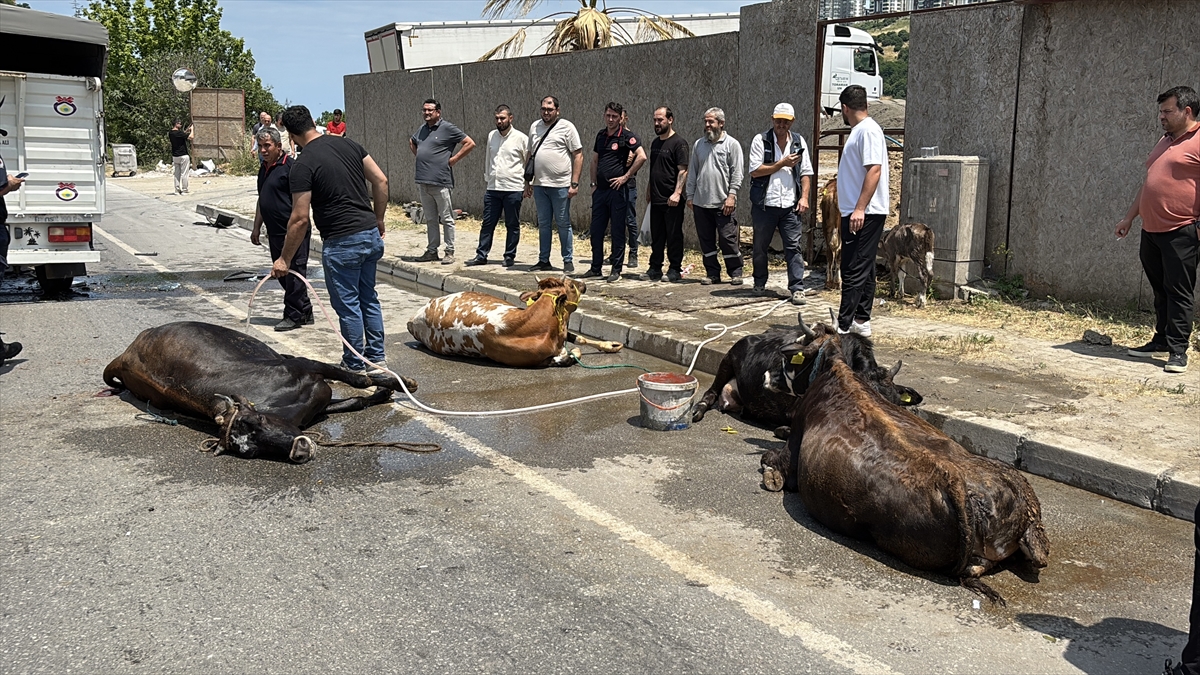 A A 20250617 38304357 38304356 S A M S U N D A T I R L A C A R P I S A N C A N L I H A Y V A N Y U K L U K A M Y O N E T I N S U R U C U S U Y A R A L A N D I