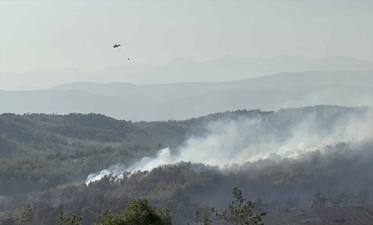 A A 20250619 38328408 38328405 A D A N A D A C I K A N O R M A N Y A N G I N I N A M U D A H A L E E D I L I Y O R