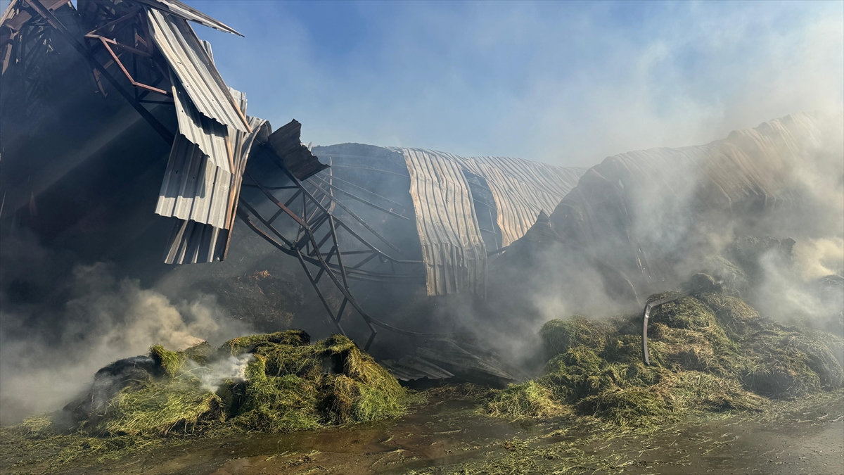 A A 20250620 38339192 38339188 K A H R A M A N M A R A S T A B I R E V V E A H I R I N K U L L A N I L A M A Z H A L E G E L D I G I Y A N G I N D A 2 K I S I Y A R A L A N D I