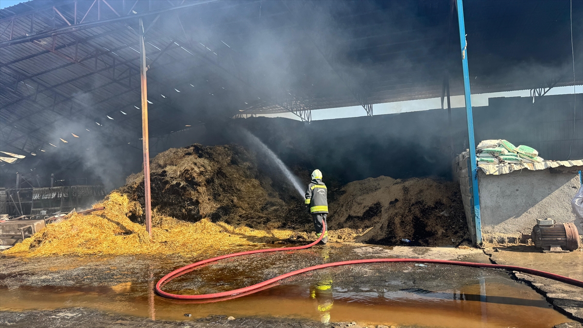 A A 20250620 38339192 38339190 K A H R A M A N M A R A S T A B I R E V V E A H I R I N K U L L A N I L A M A Z H A L E G E L D I G I Y A N G I N D A 2 K I S I Y A R A L A N D I