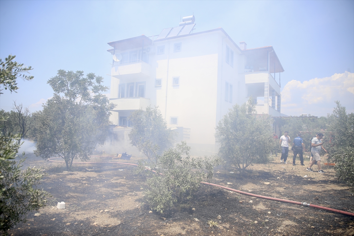 A A 20250621 38346484 38346481 M U G L A D A O D U N L U K T A B A S L A Y I P Z E Y T I N L I G E S I C R A Y A N Y A N G I N S O N D U R U L D U