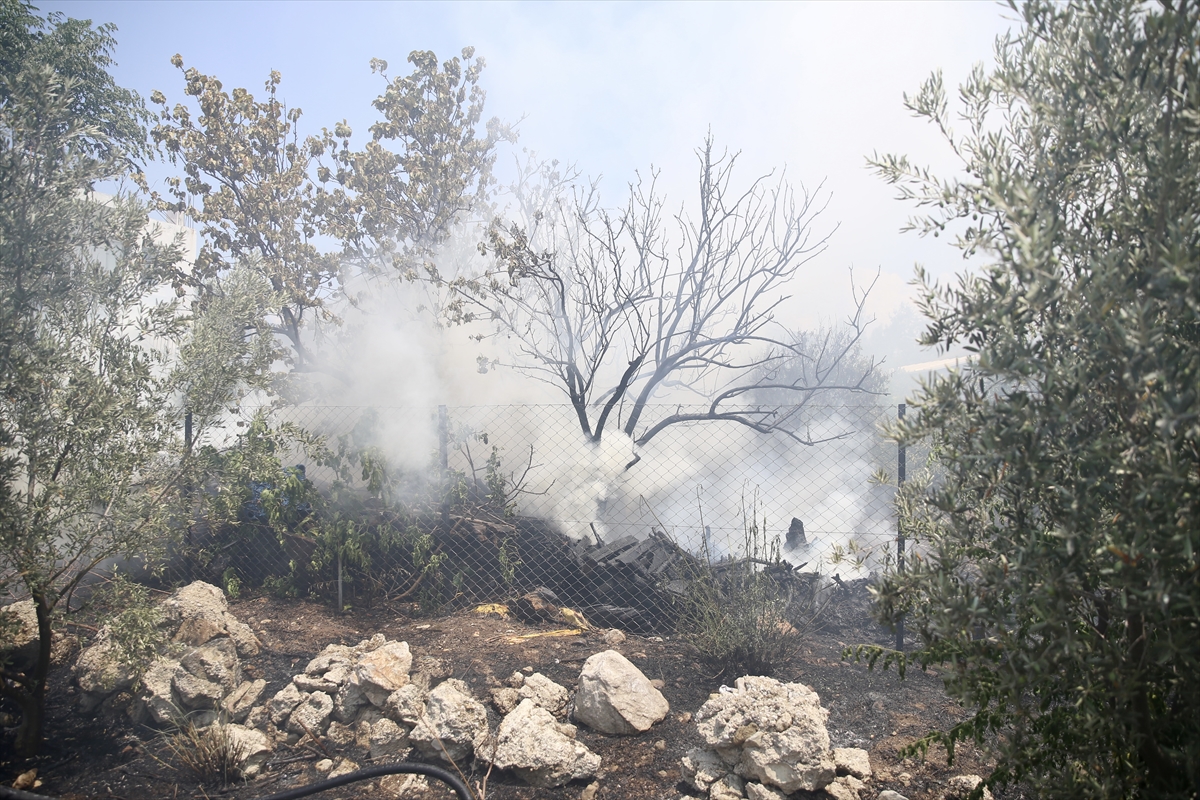 A A 20250621 38346484 38346482 M U G L A D A O D U N L U K T A B A S L A Y I P Z E Y T I N L I G E S I C R A Y A N Y A N G I N S O N D U R U L D U