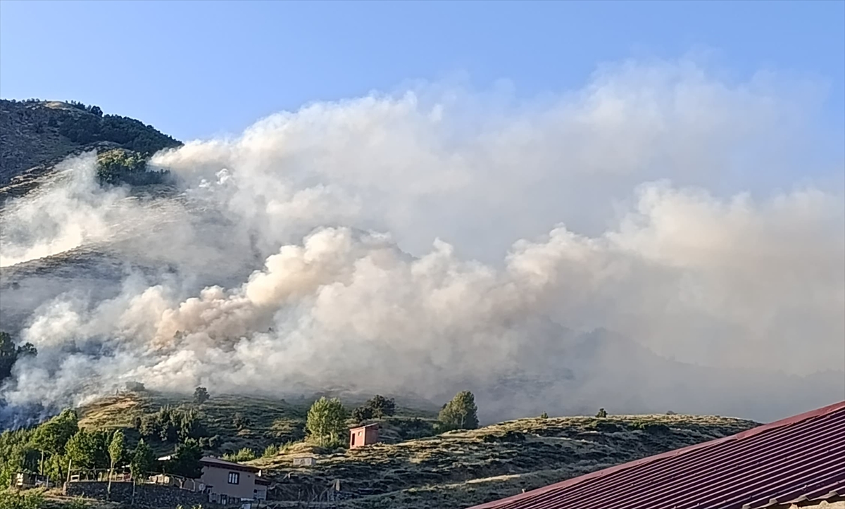 A A 20250623 38360613 38360612 B I N G O L D E C I K A N O R M A N Y A N G I N I K O N T R O L A L T I N A A L I N D I