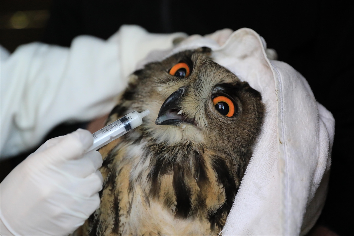 A A 20250623 38363065 38363062 S A M S U N D A Y A R A L I B U L U N A N P U H U T E D A V I S I N I N A R D I N D A N D O G A Y A B I R A K I L D I