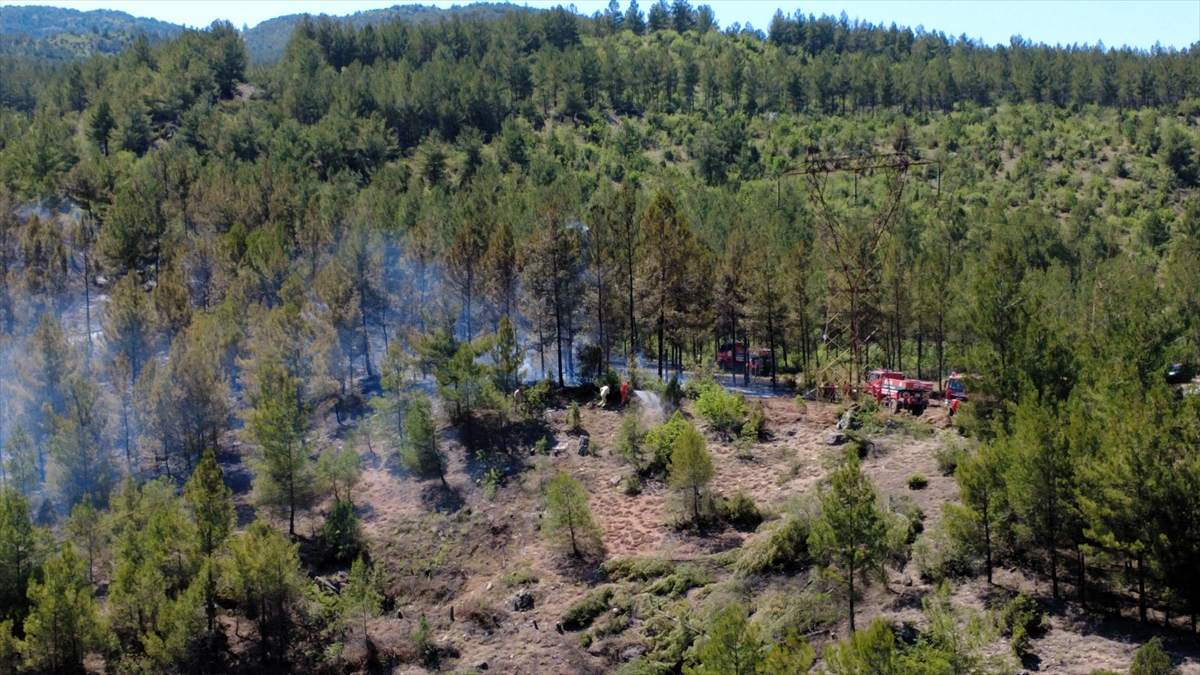 A A 20250625 38383963 38383956 K A R A B U K T E C I K A N O R M A N Y A N G I N I N A M U D A H A L E E D I L I Y O R