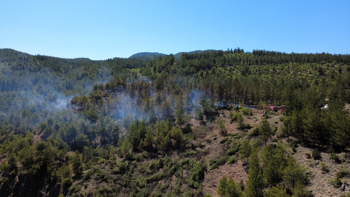 A A 20250625 38383963 38383957 K A R A B U K T E C I K A N O R M A N Y A N G I N I N A M U D A H A L E E D I L I Y O R