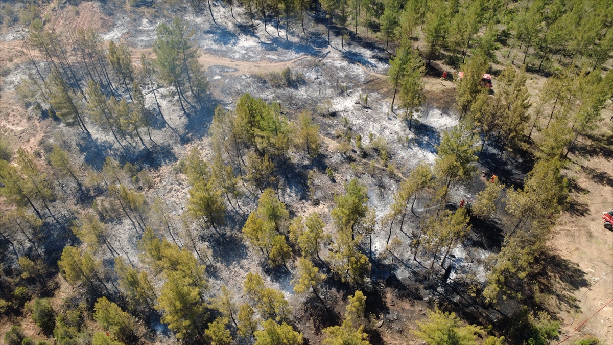 A A 20250625 38383963 38383959 K A R A B U K T E C I K A N O R M A N Y A N G I N I N A M U D A H A L E E D I L I Y O R