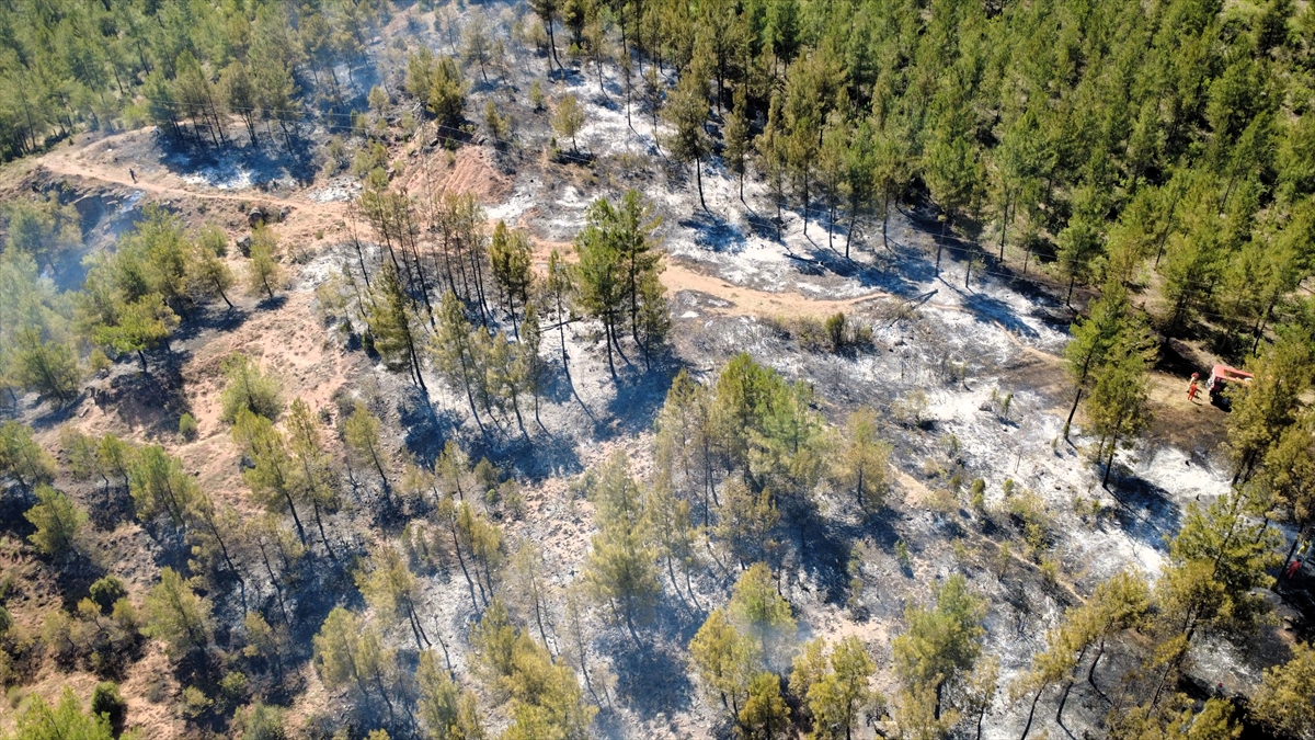 A A 20250625 38383963 38383960 K A R A B U K T E C I K A N O R M A N Y A N G I N I N A M U D A H A L E E D I L I Y O R